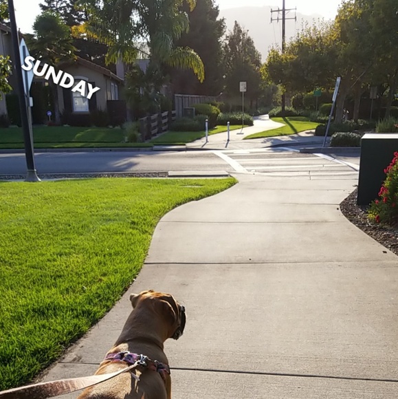 Meet your Posher, Ariana - Picture 2 of 7